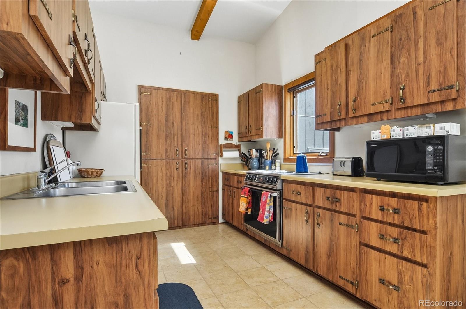 18480 Morrison Creek Circle Buena Vista CO 81211
