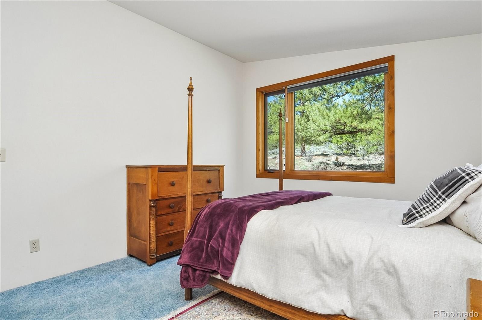 18480 Morrison Creek Circle Buena Vista CO 81211