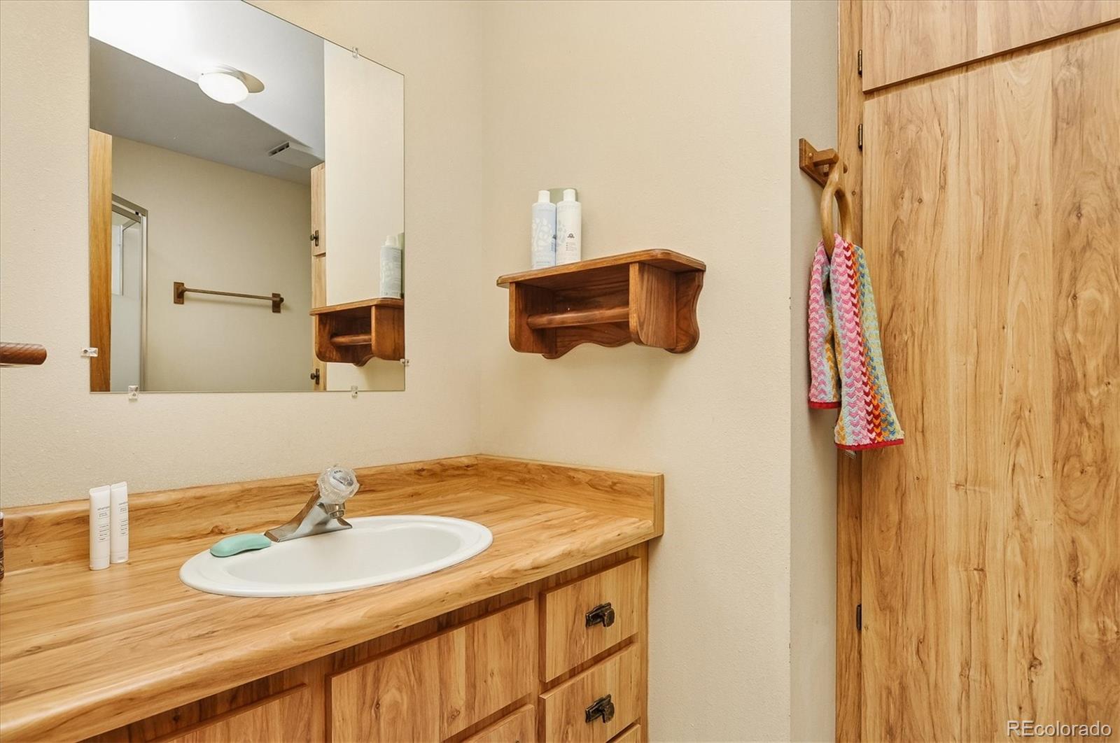 18480 Morrison Creek Circle Buena Vista CO 81211