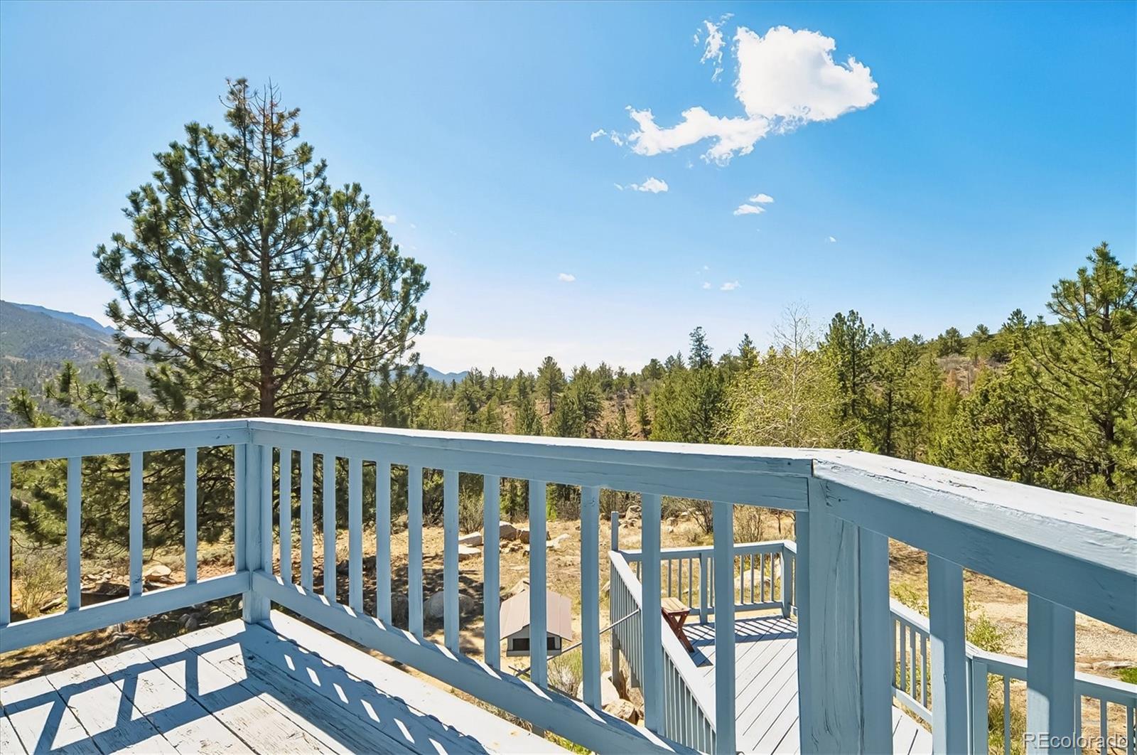 18480 Morrison Creek Circle Buena Vista CO 81211
