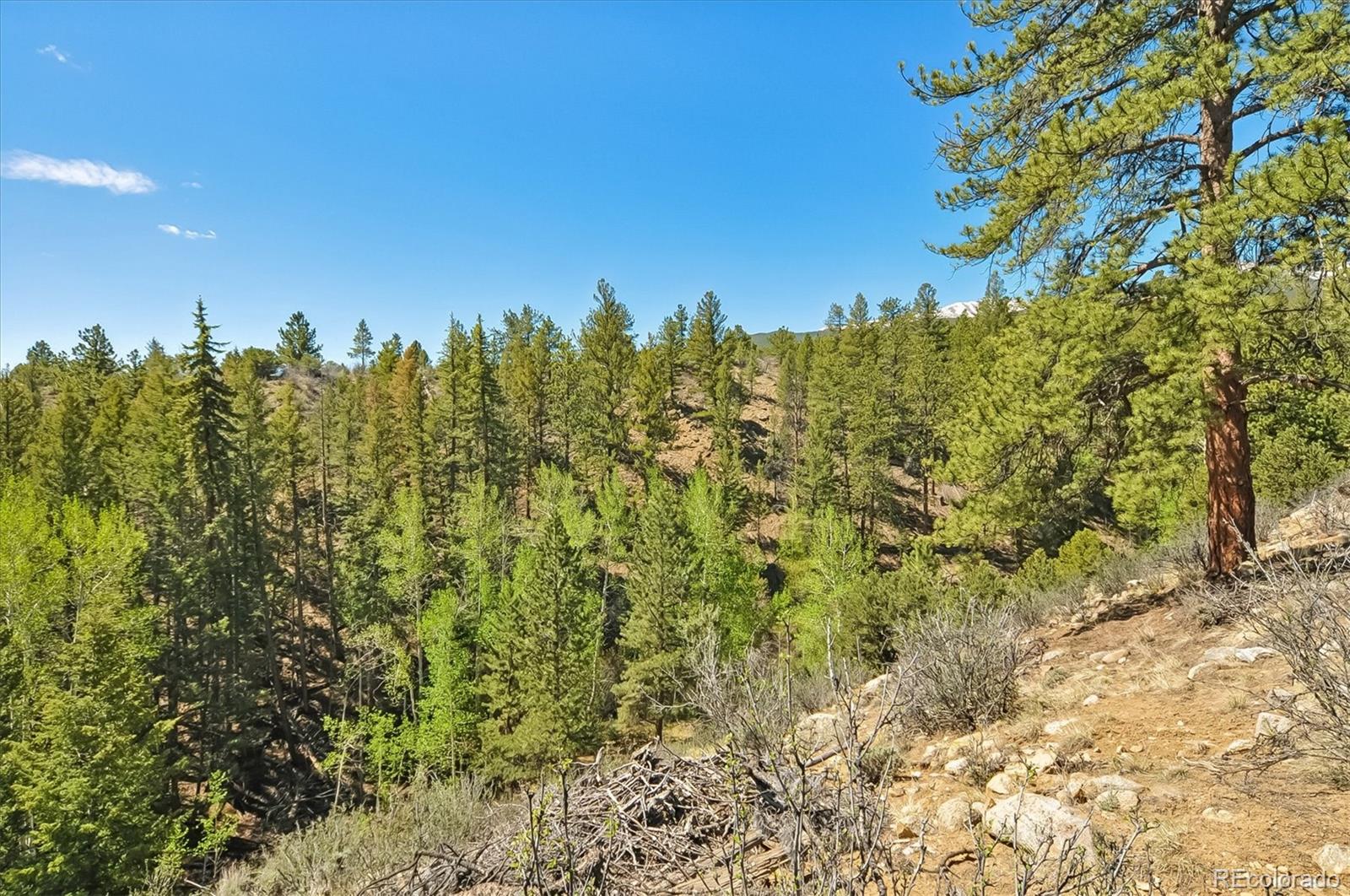 18480 Morrison Creek Circle Buena Vista CO 81211