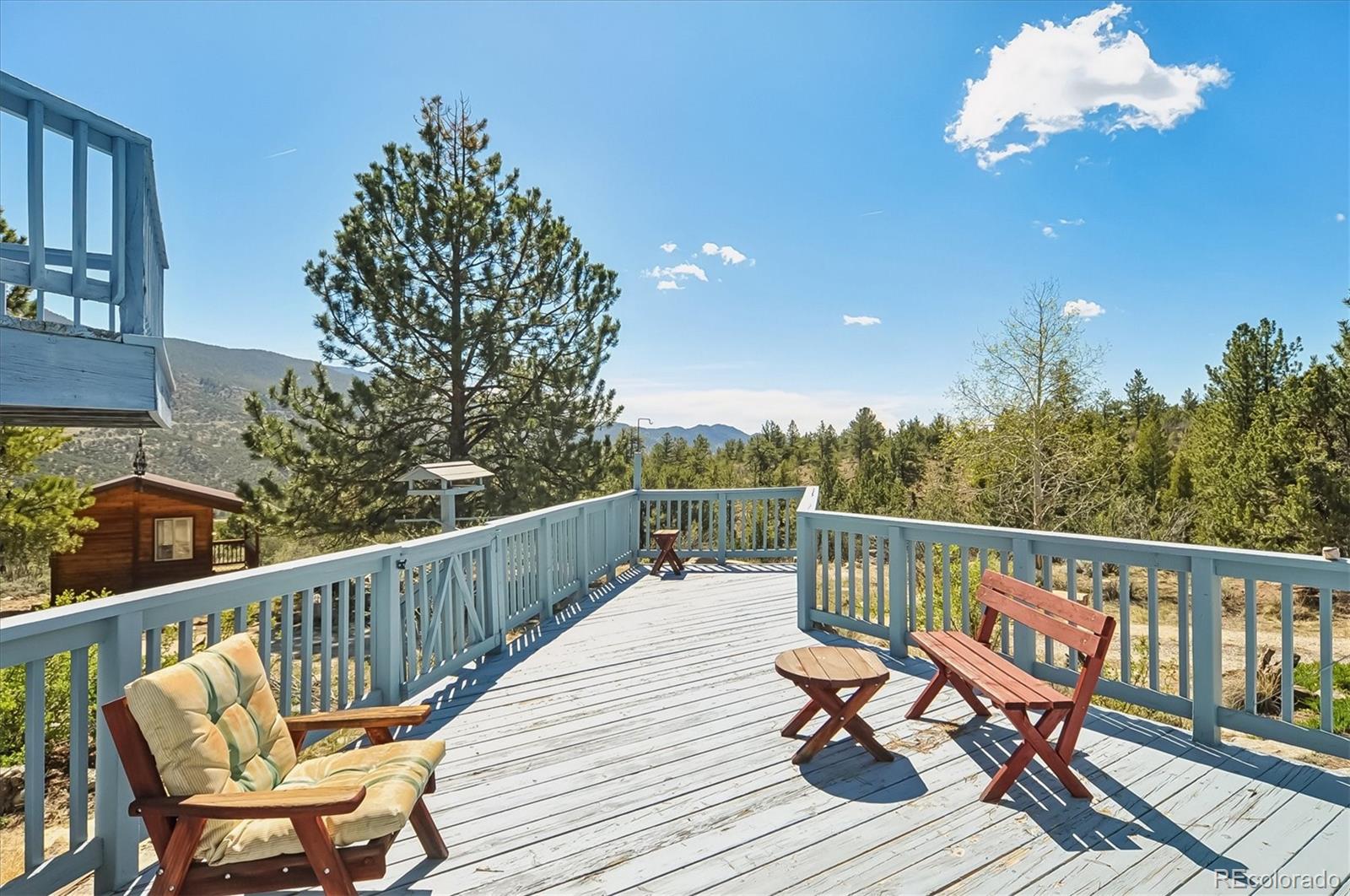 18480 Morrison Creek Circle Buena Vista CO 81211