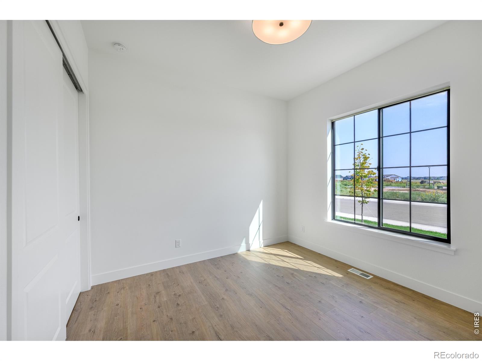 146 Blue Fortune Drive Windsor CO 80550