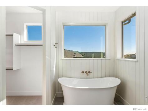 146 Blue Fortune Drive Windsor CO 80550