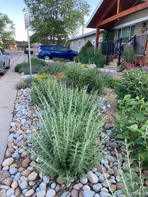 1621 Salvia Street Golden CO 80226