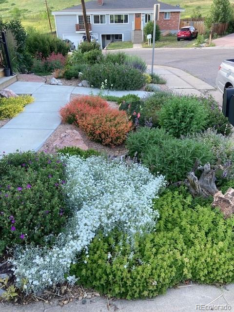 1621 Salvia Street Golden CO 80226