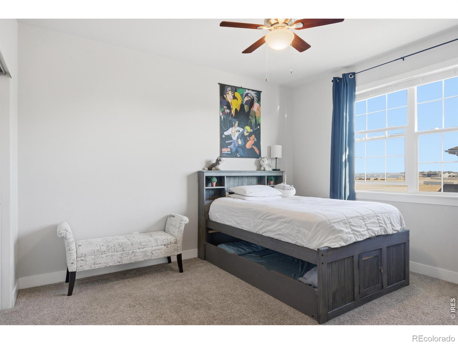 270 Mt Harvard Avenue Severance CO 80550