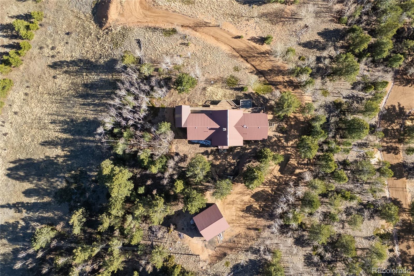 1008 Cantiberry Road Divide CO 80814
