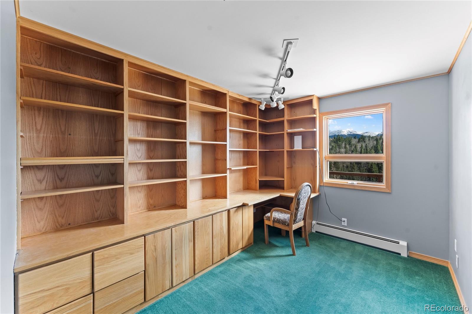 1008 Cantiberry Road Divide CO 80814