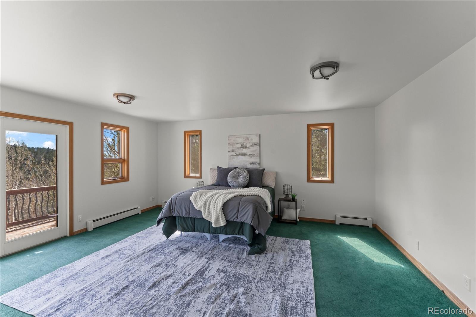 1008 Cantiberry Road Divide CO 80814
