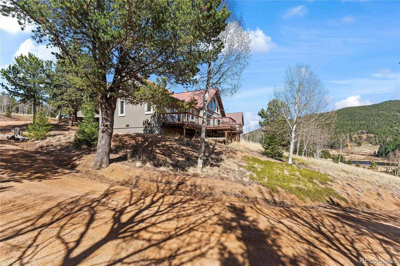 1008 Cantiberry Road Divide CO 80814