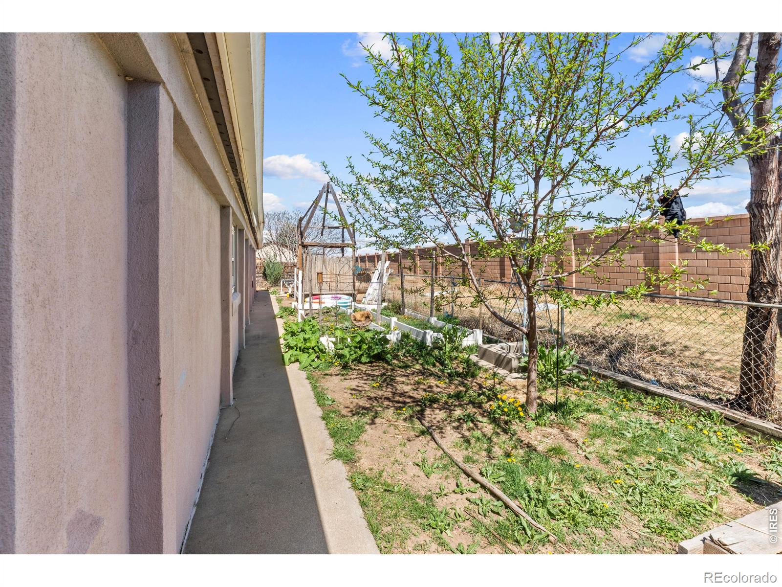 1220 Mackay Court Dacono CO 80514