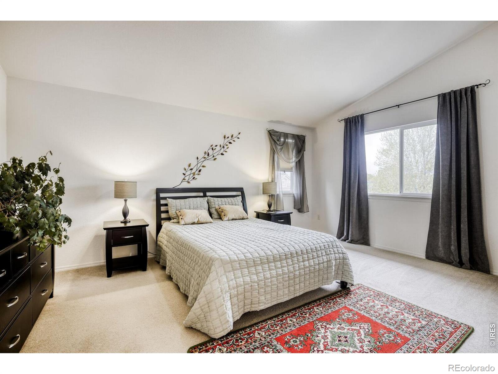 1355 Carnation Circle Longmont CO 80503