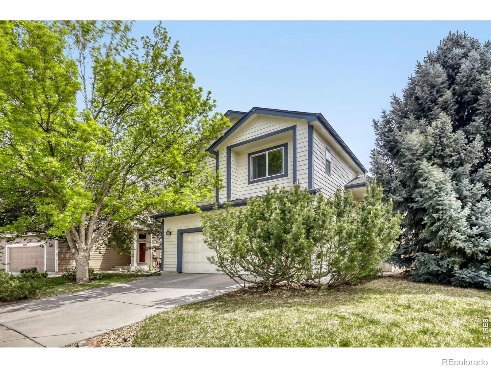 1355 Carnation Circle Longmont CO 80503