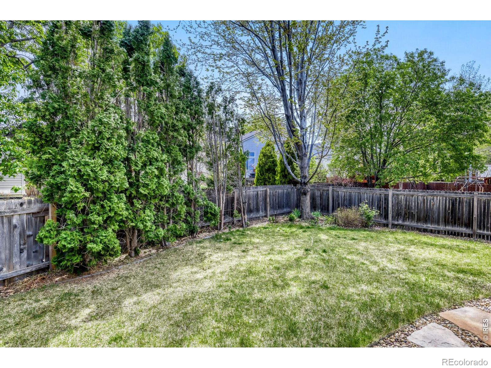 1355 Carnation Circle Longmont CO 80503