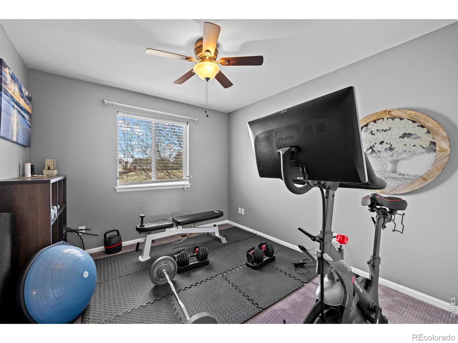 8255 El Jebel Loop Castle Rock CO 80108