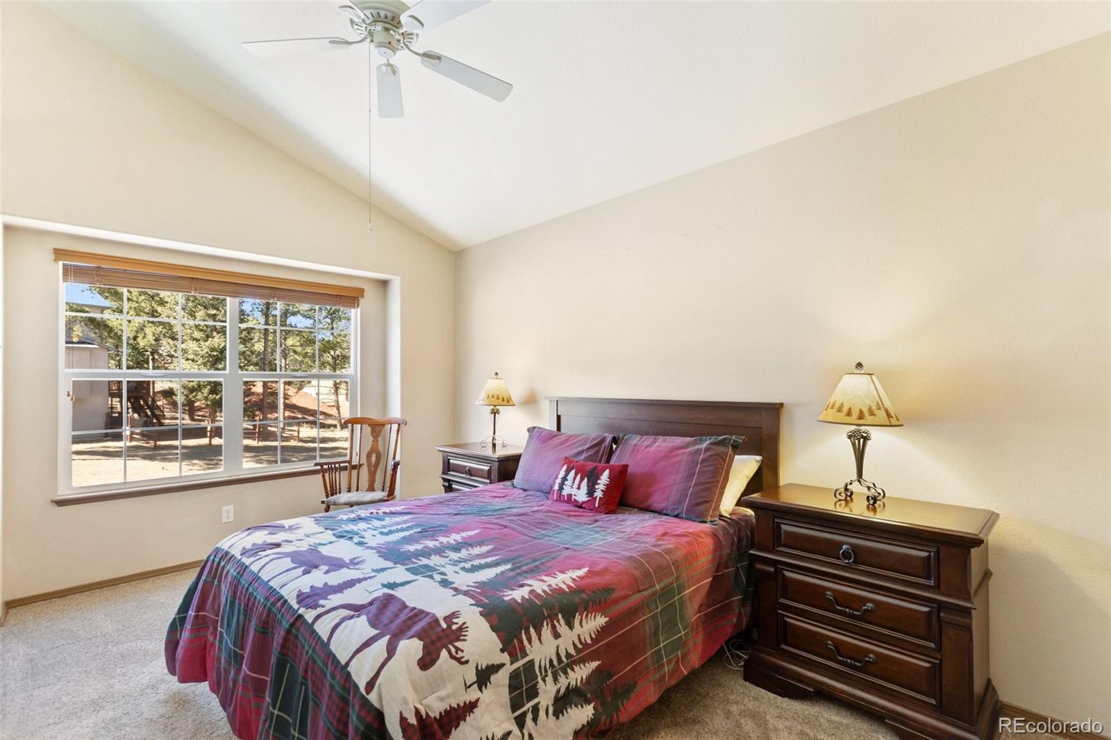 681 Misty Pines Circle Woodland Park CO 80863