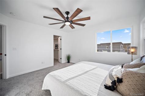 7758 Camille Court Colorado Springs CO 80908