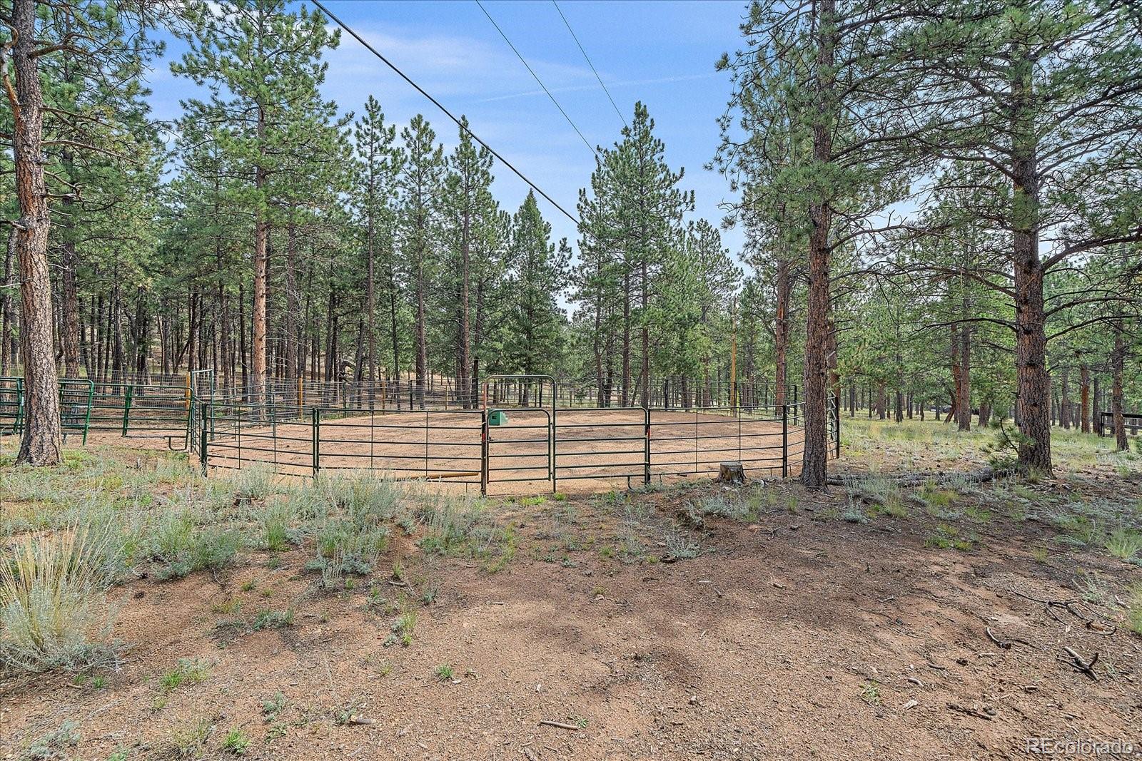 104 Six Bits Street Bailey CO 80421