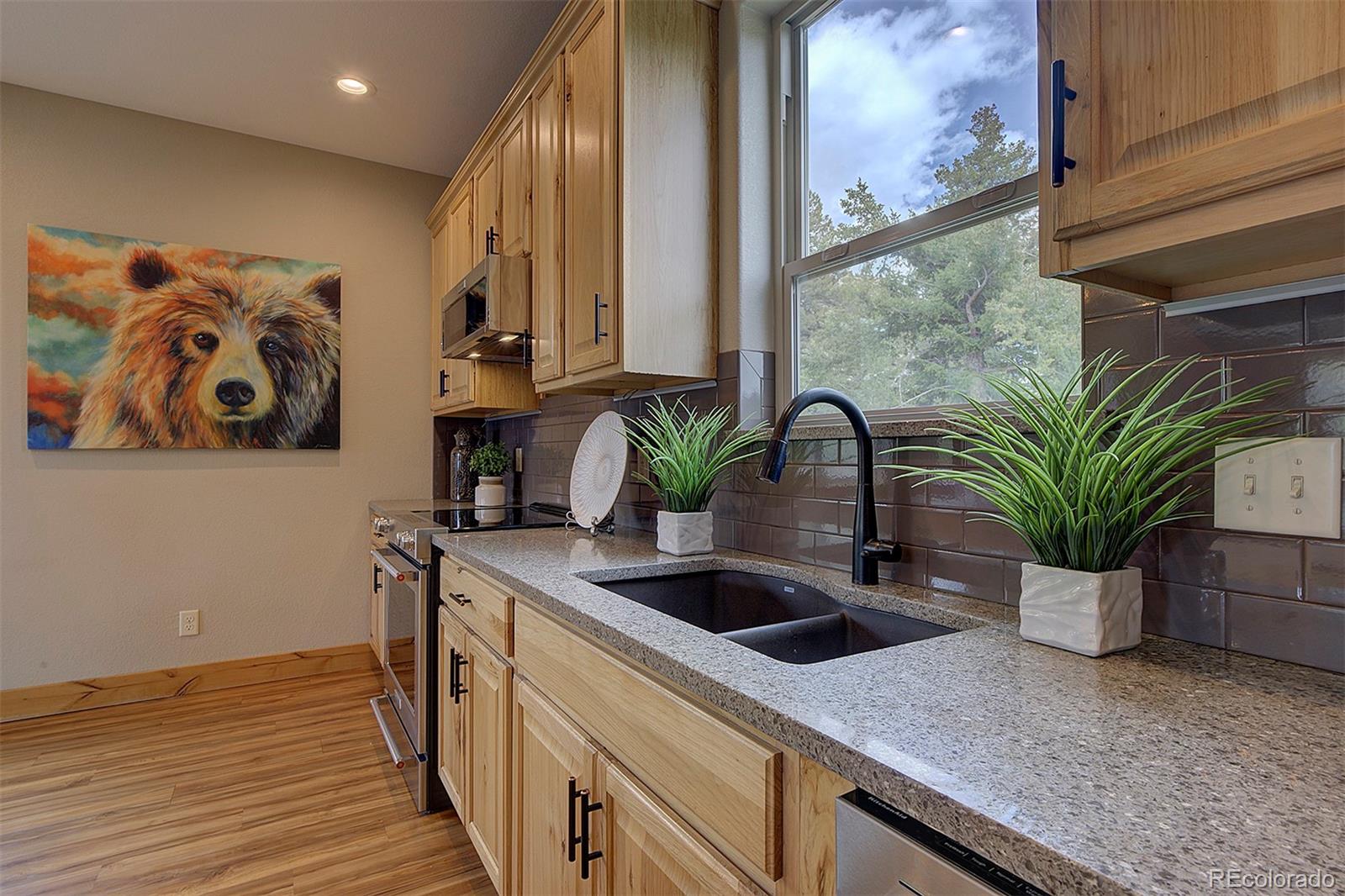 8621 Majestic View Drive Conifer CO 80433