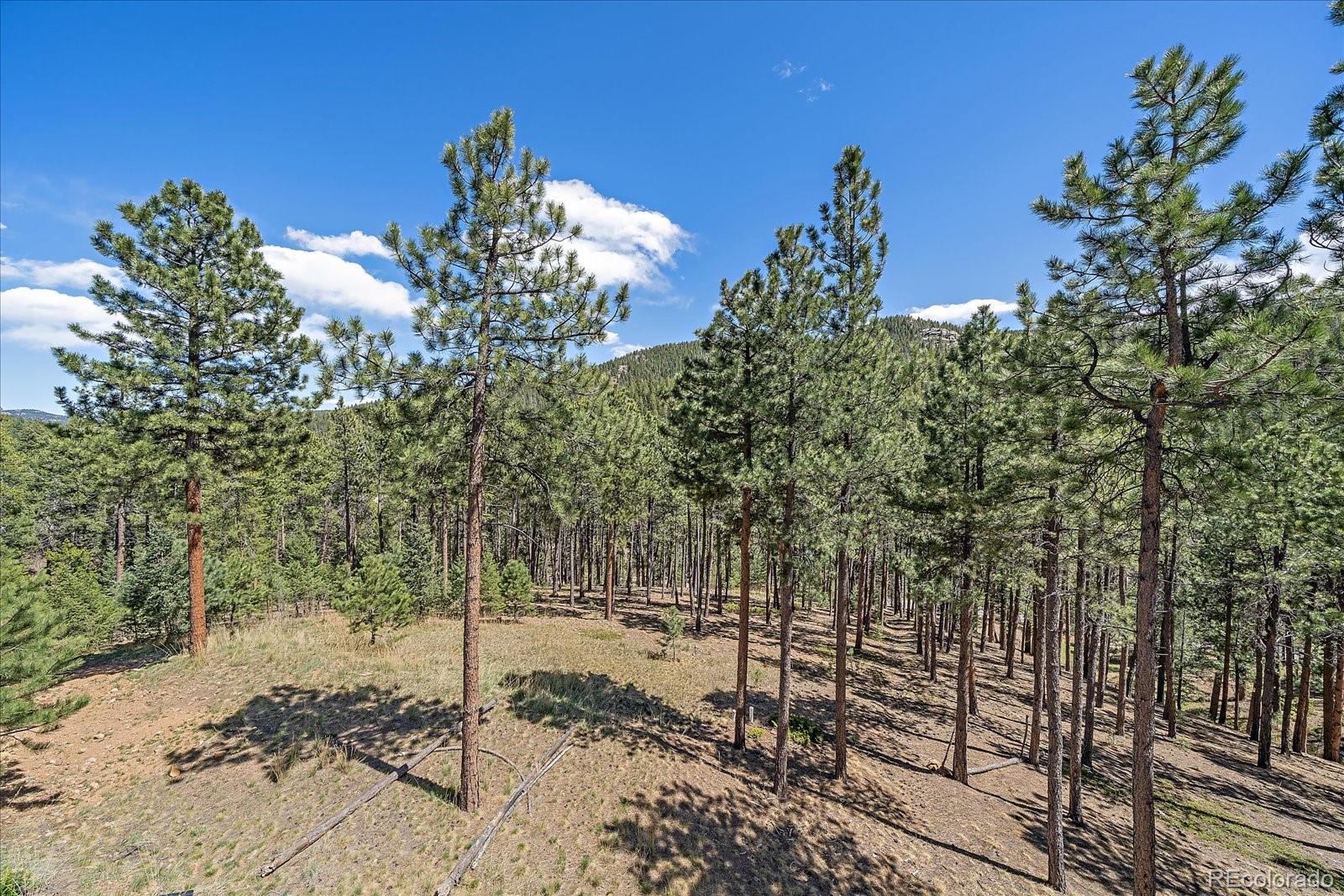 32160 Aspen Meadow Drive Evergreen CO 80439