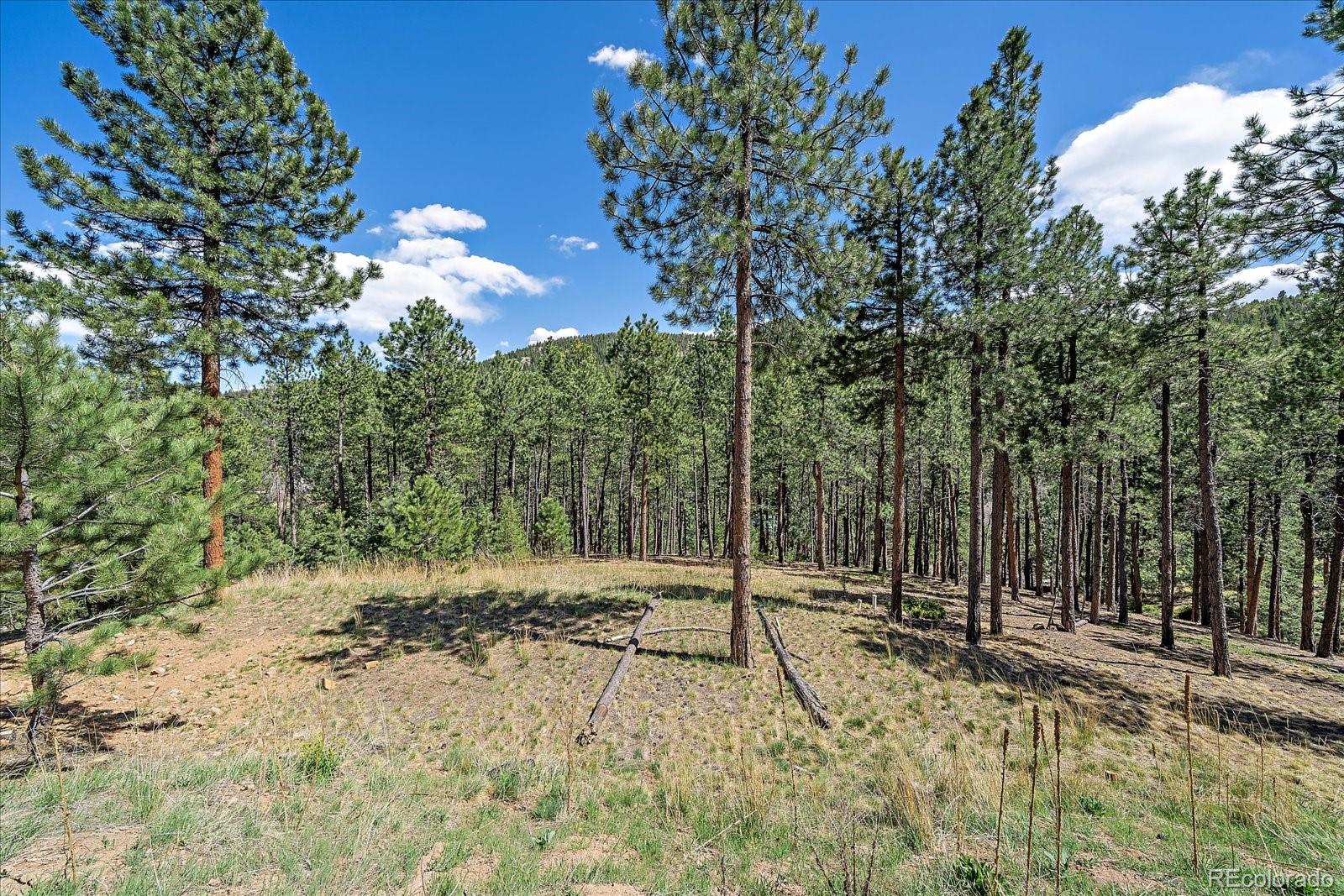 32160 Aspen Meadow Drive Evergreen CO 80439