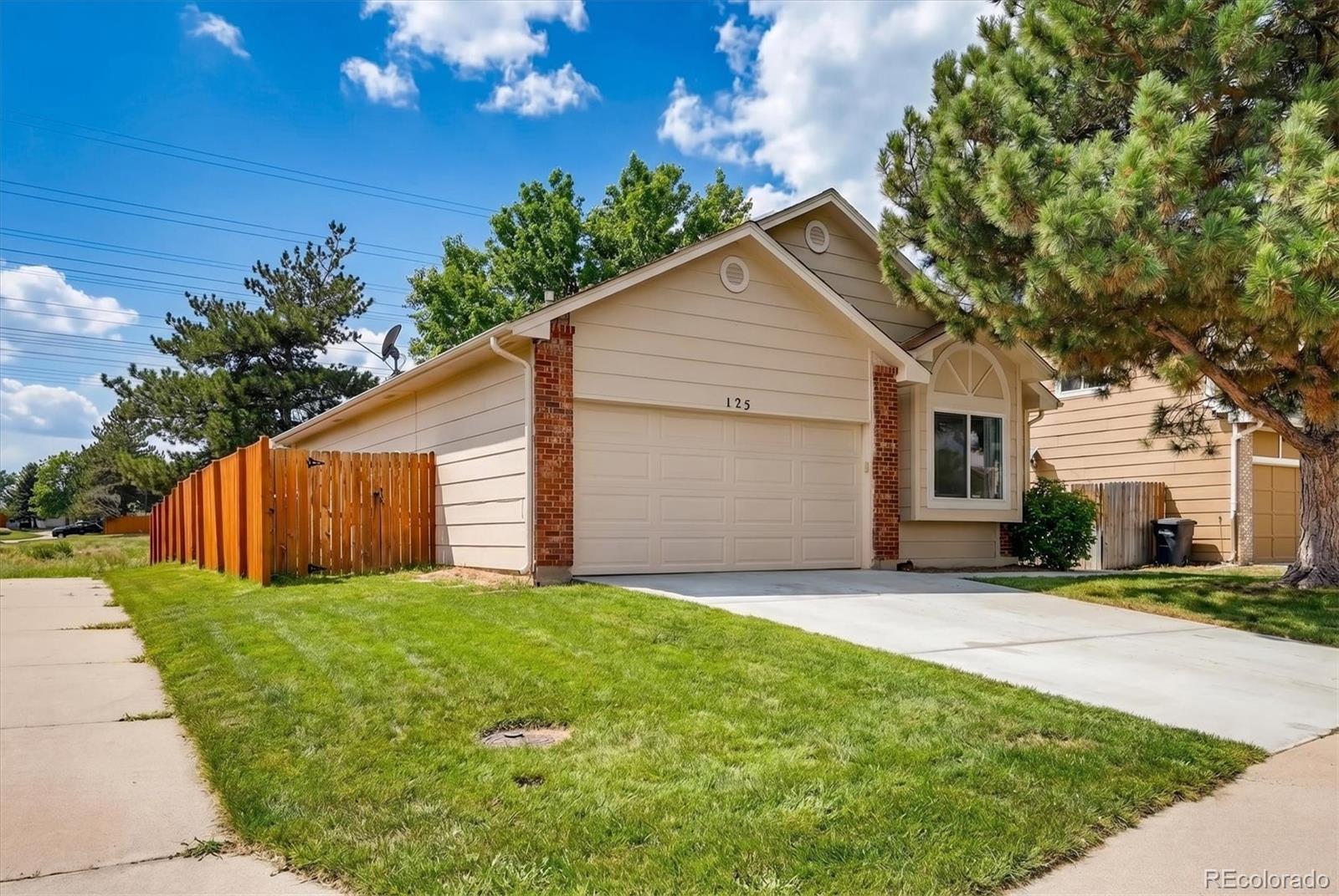 125 N Holcomb Street Castle Rock CO 80104