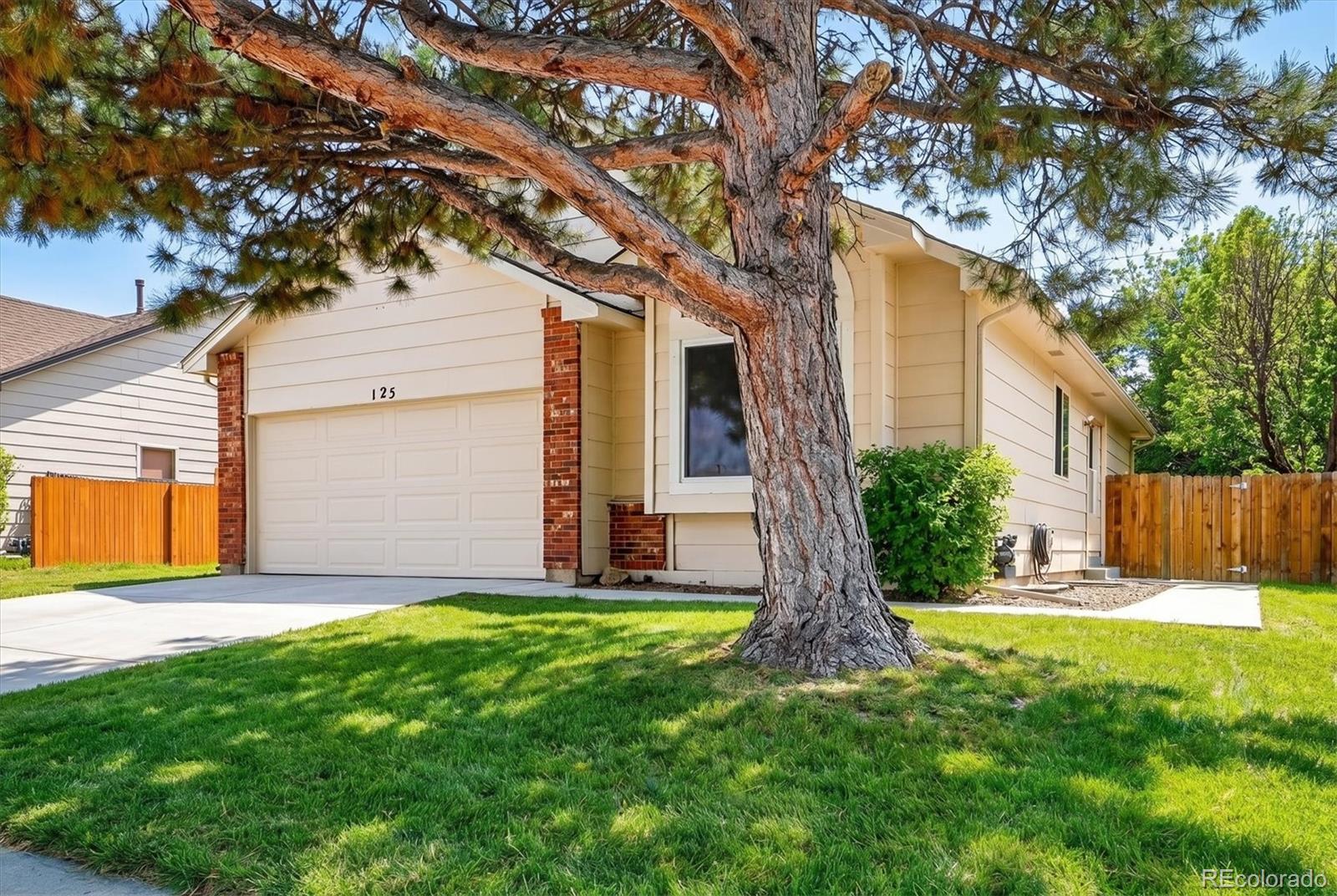 125 N Holcomb Street Castle Rock CO 80104
