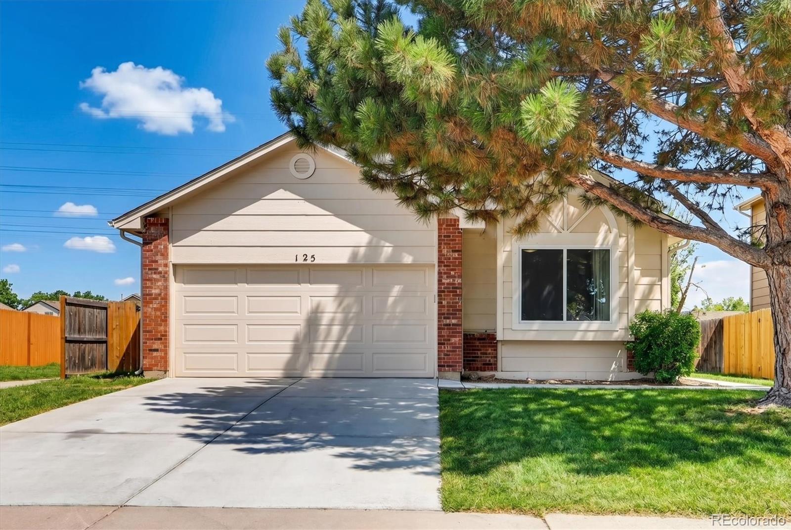 125 N Holcomb Street Castle Rock CO 80104