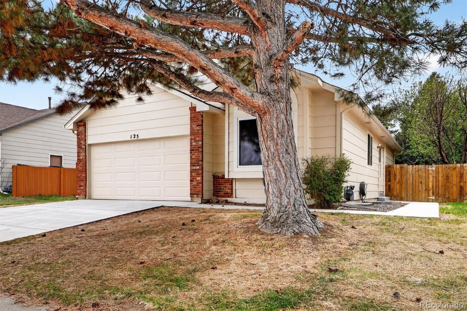 125 N Holcomb Street Castle Rock CO 80104