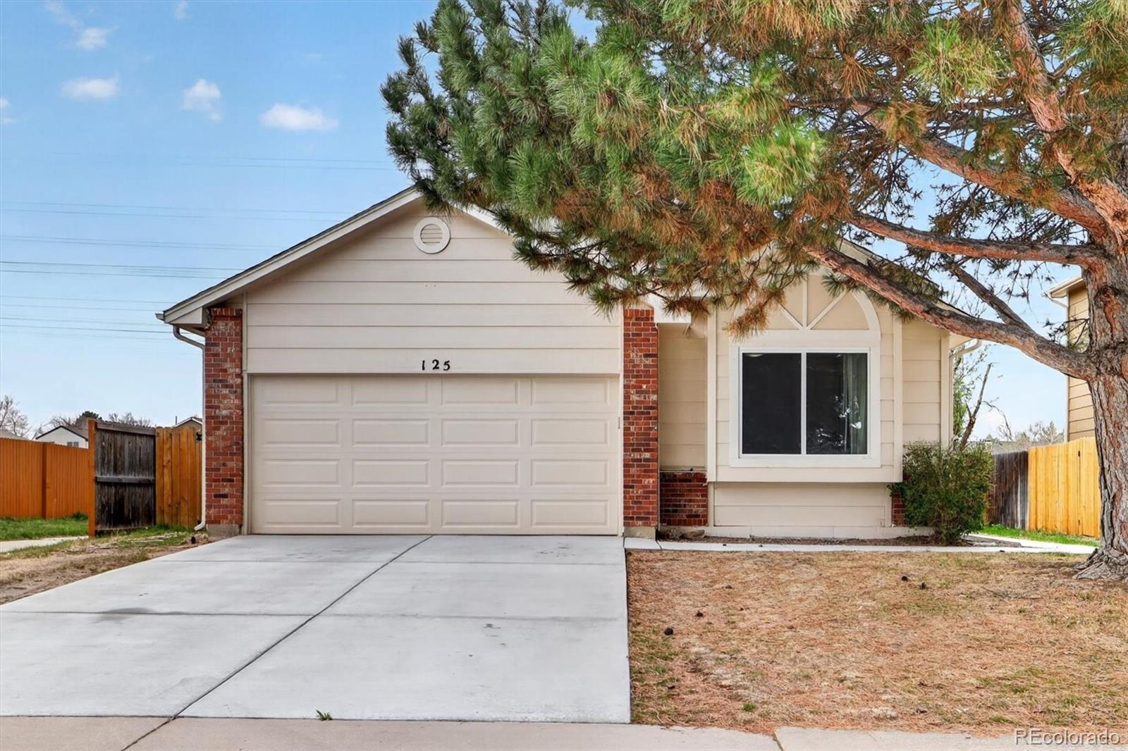 125 N Holcomb Street Castle Rock CO 80104