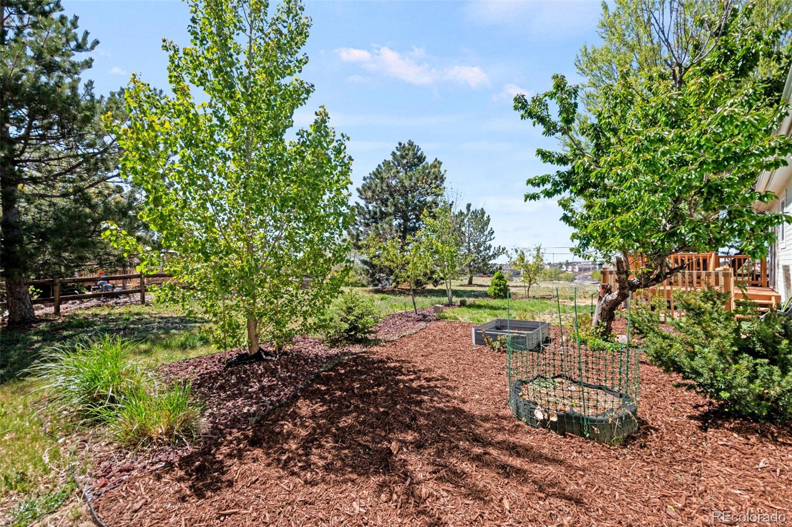 7641 Marmot Point Colorado Springs CO 80922