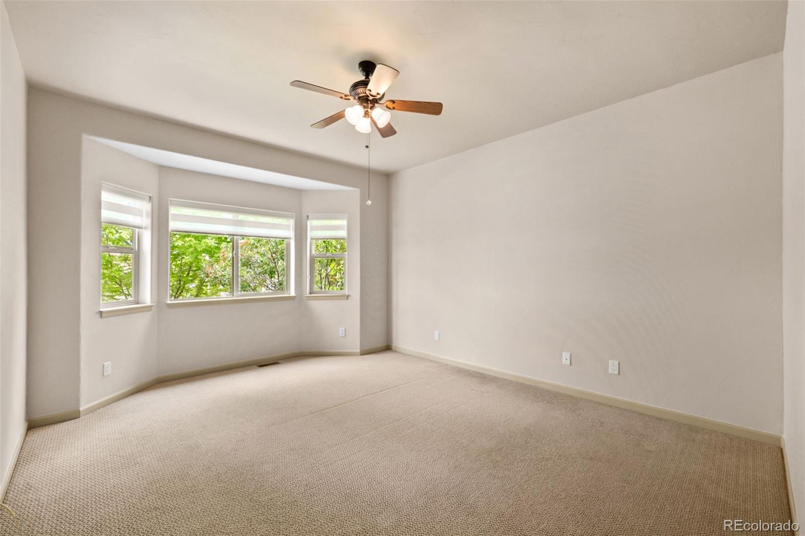 4331 Las Lunas Court Castle Rock CO 80104