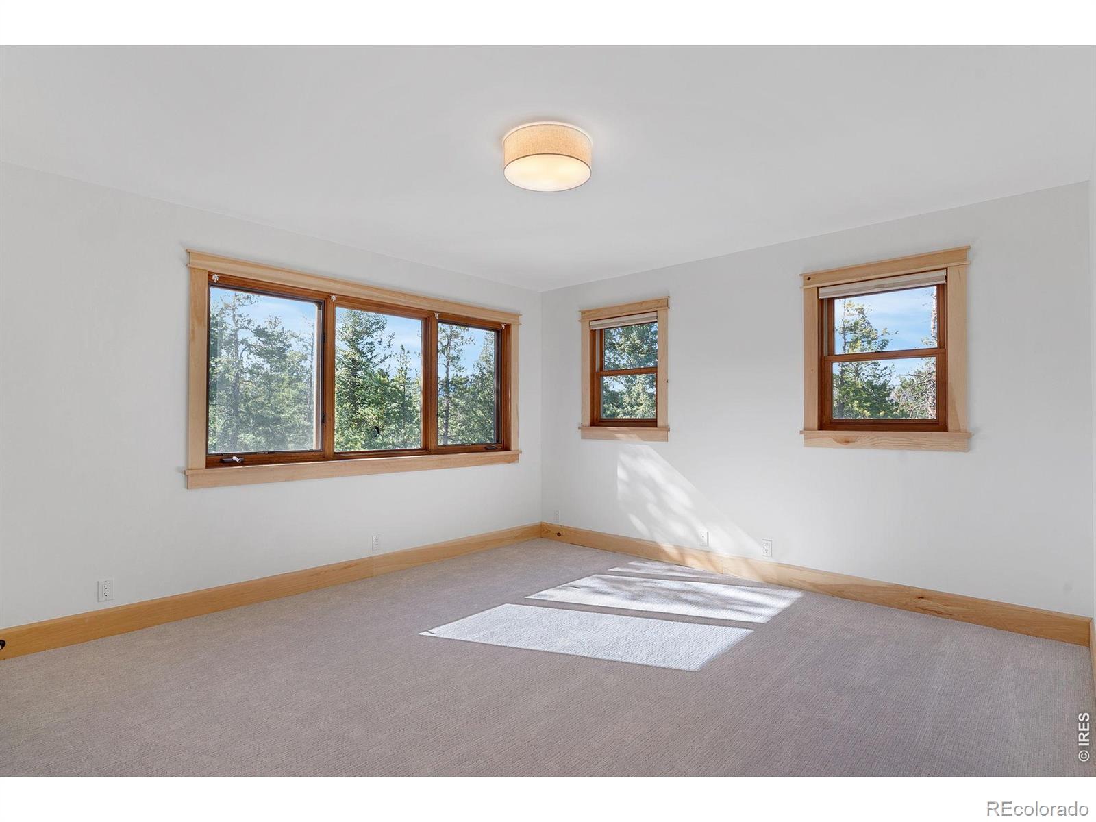 3725 Ridge Road Nederland CO 80466