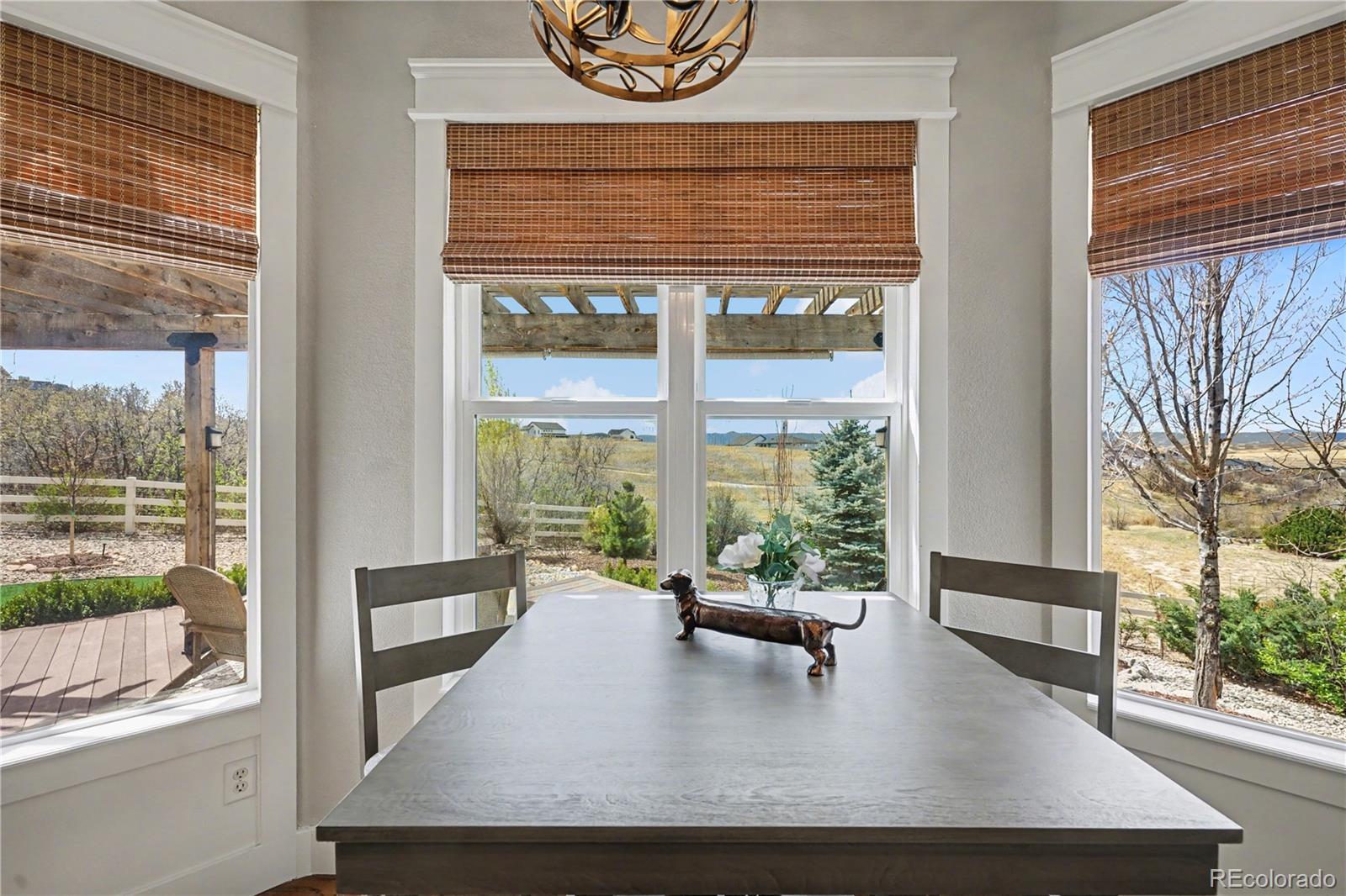 4387 Cameo Lane Castle Rock CO 80104