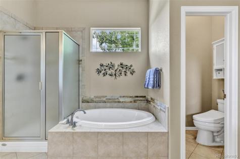 344 N De Gaulle Court Aurora CO 80018