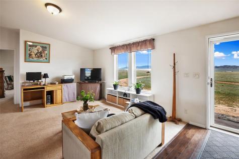 463 Snowshoe Lane Lake George CO 80827