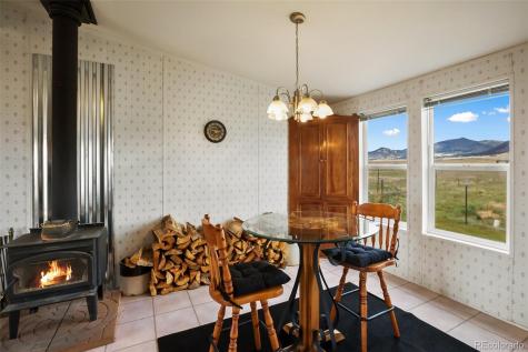 463 Snowshoe Lane Lake George CO 80827