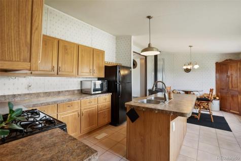 463 Snowshoe Lane Lake George CO 80827