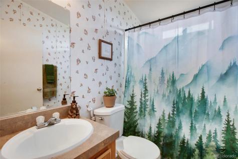 463 Snowshoe Lane Lake George CO 80827