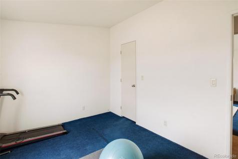 463 Snowshoe Lane Lake George CO 80827