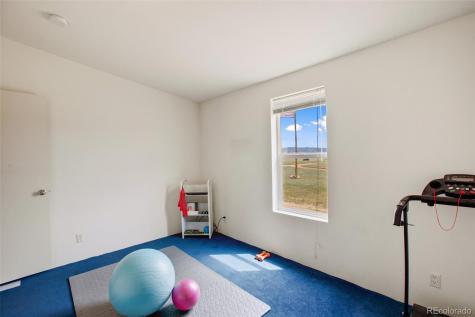 463 Snowshoe Lane Lake George CO 80827