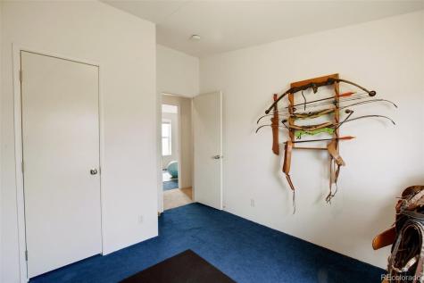 463 Snowshoe Lane Lake George CO 80827