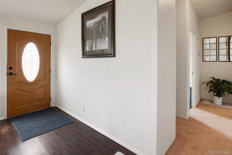 463 Snowshoe Lane Lake George CO 80827