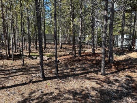 379 Spruce Drive Leadville CO 80461