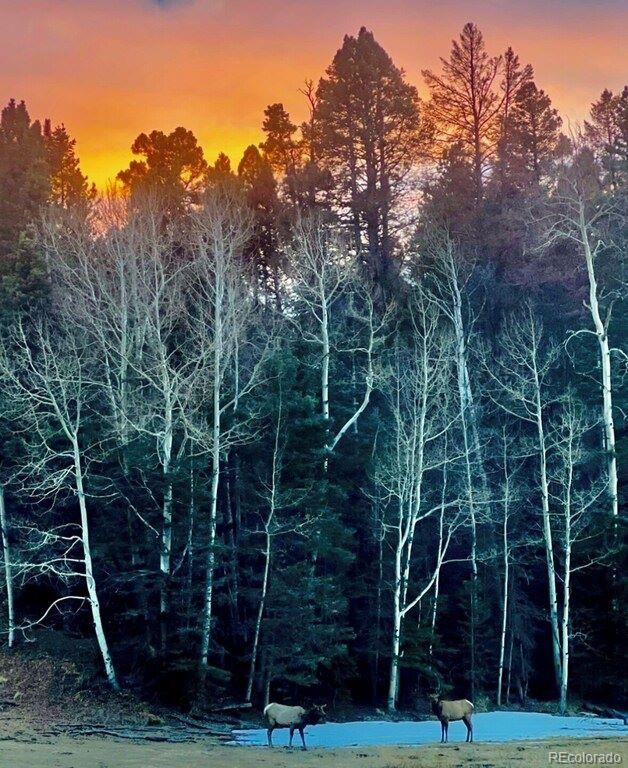 16679 Highway 96 Wetmore CO 81253