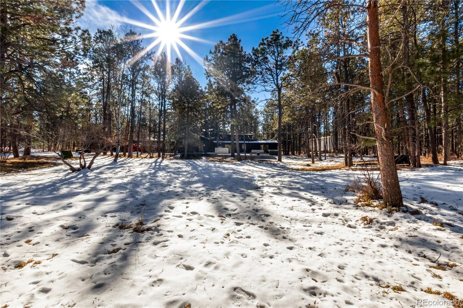 7550 Carver Lane Colorado Springs CO 80908