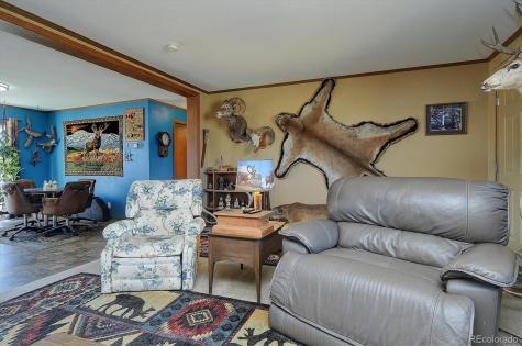 26794 County Road 320a Buena Vista CO 81211