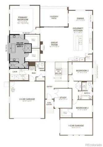 8610 Yellowcress Street Littleton CO 80125