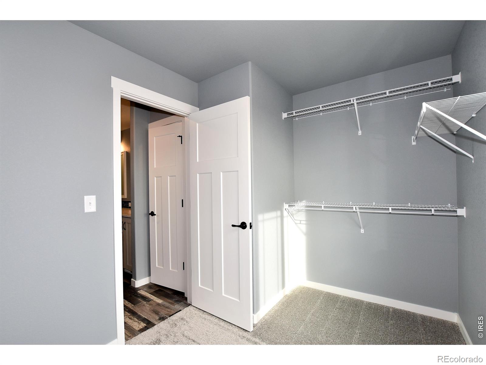1173 Crown Sparrow Street Johnstown CO 80534